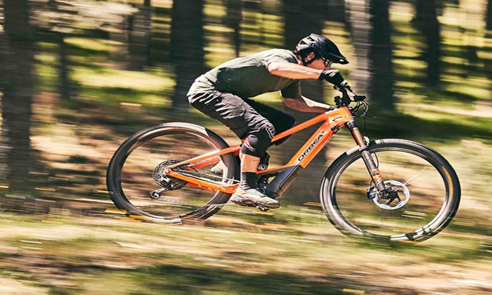 Affordable MTB Rentals for Beginners